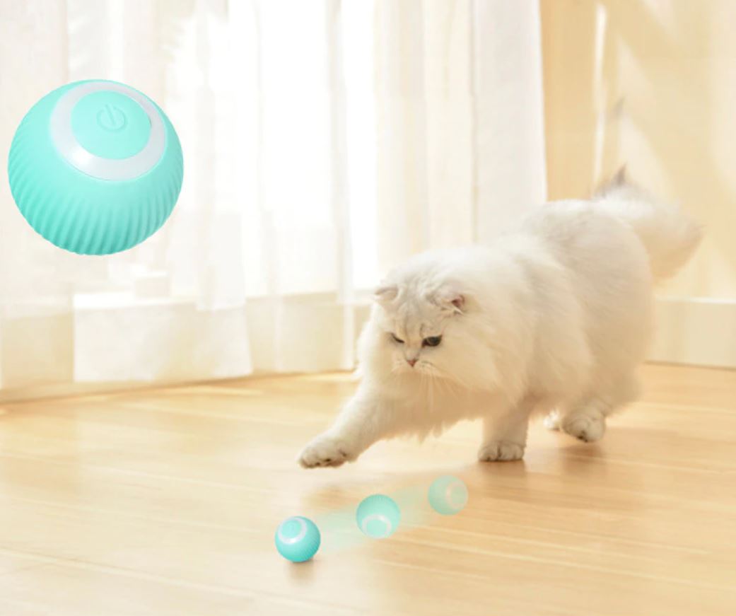 Kjæledyr  Interaktiv smart rullende ball
