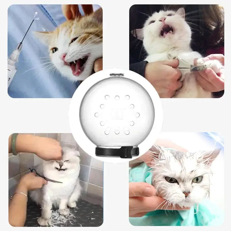 Cat Anti-Bite pleiehjelm