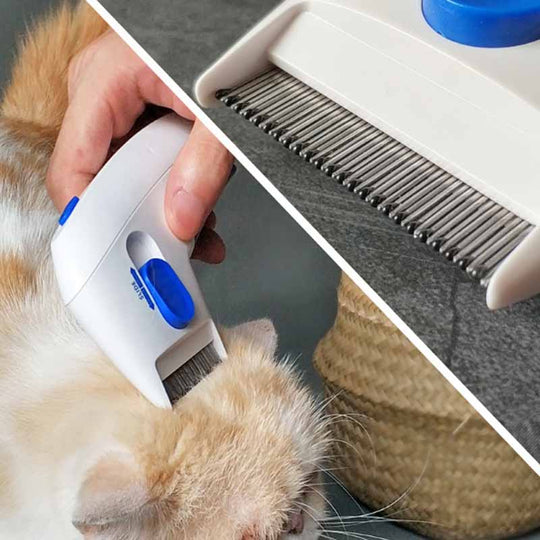 Elektrisk kjæledyr loppefjerner kam
