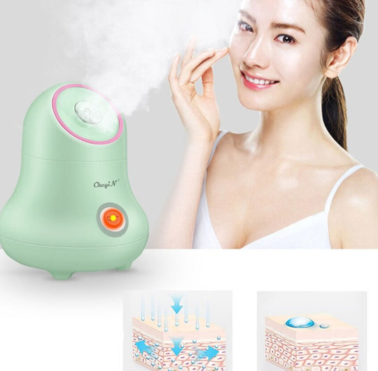 Alt-i-ett ansiktsdamper