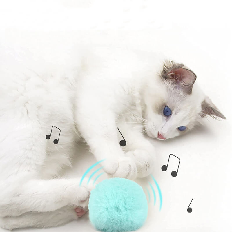 Smart Interaktiv Katteball