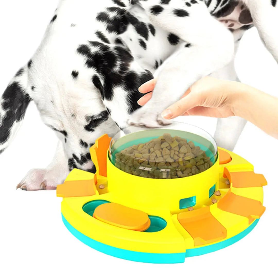 Pet Puzzle Feeder Toy