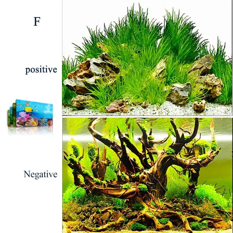 Akvarium Bakgrunn 3D Design for Fisketanker 0