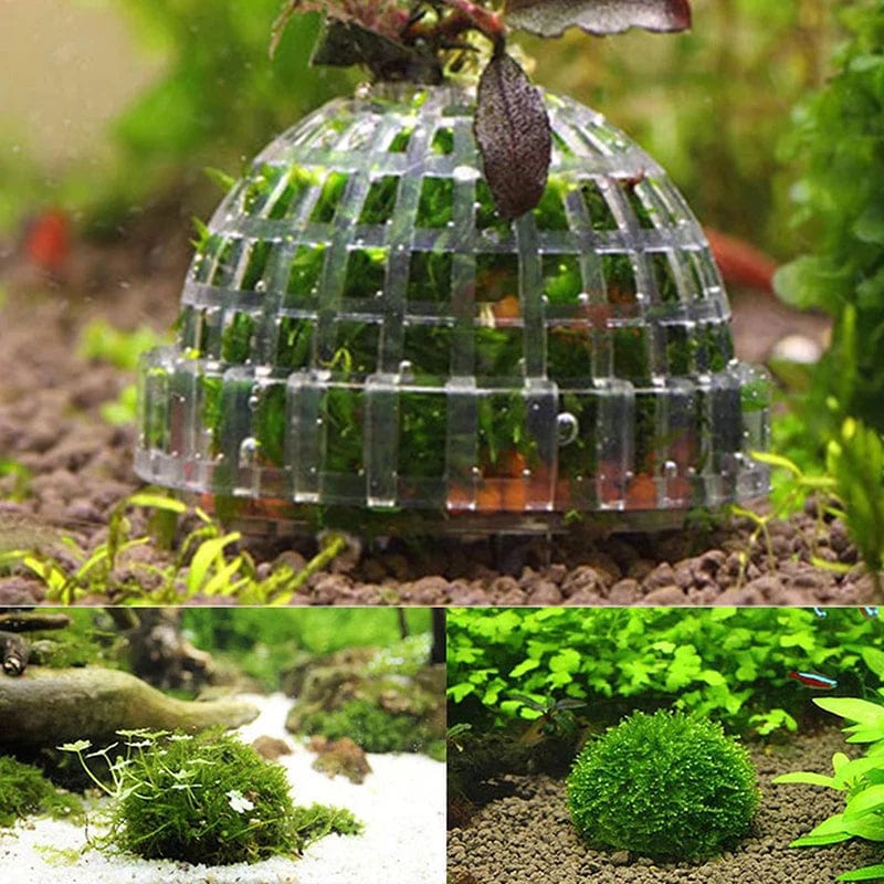 Akvarium Dekorasjon Mosball for Fisketank 2