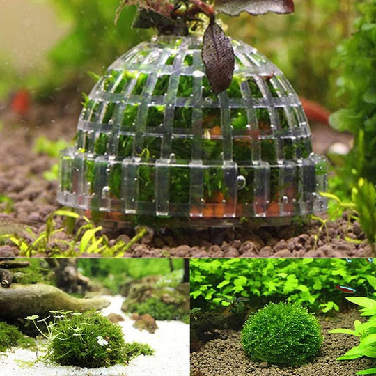 Akvarium Dekorasjon Mosball for Fisketank 2