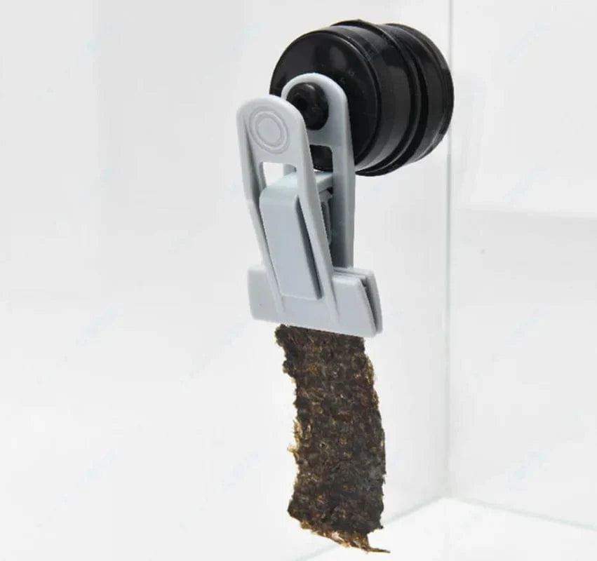 Akvarium Fôr Klype med Magnet for Grønnsaker 1