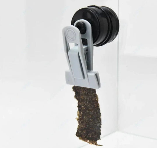 Akvarium Fôr Klype med Magnet for Grønnsaker 1