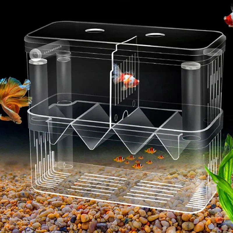 Akvarium Oppdrettsboks for Fisk 0