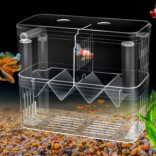 Akvarium Oppdrettsboks for Fisk 0