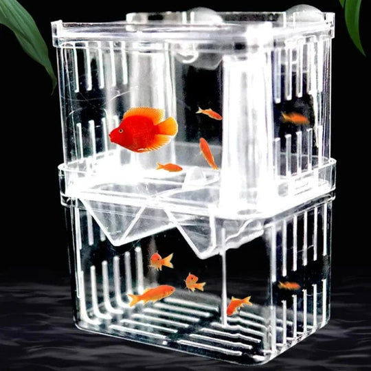 Akvarium Oppdrettsboks for Fisk 1