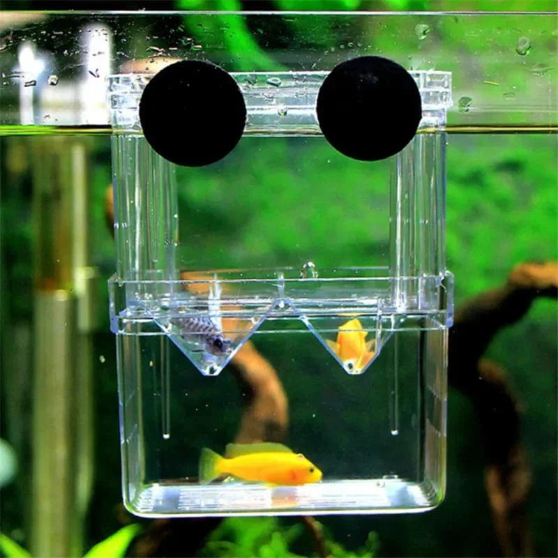 Akvarium Oppdrettsboks for Fisk 4