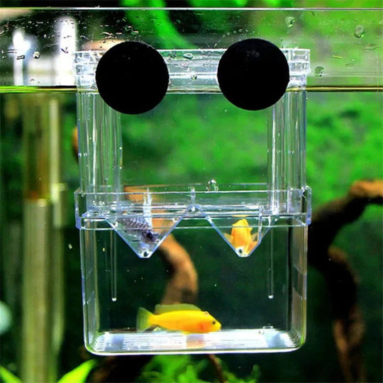 Akvarium Oppdrettsboks for Fisk 4