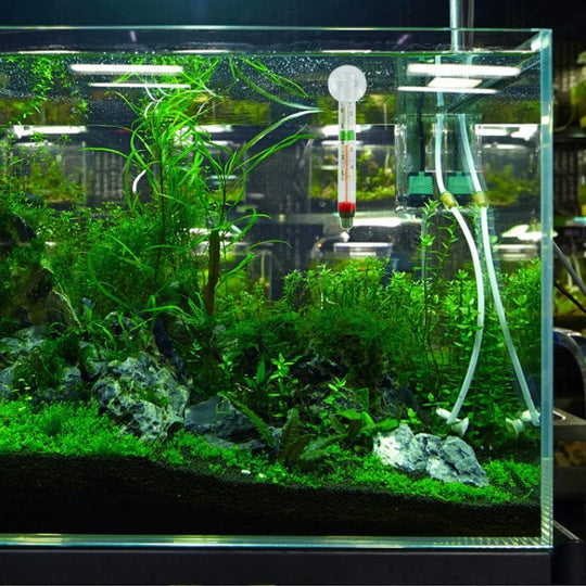Akvarium Termometer Flytende Design med Sugekop 1