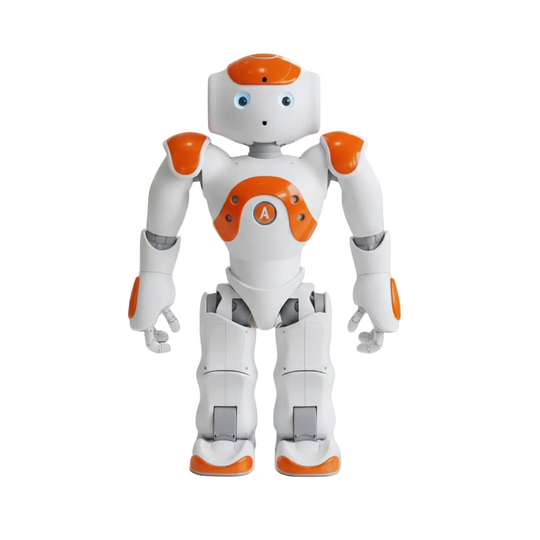 Barnas Interaktive Læringsrobot 0