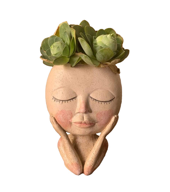 Blomsterpotte med Ansikt for Hjemmet 0