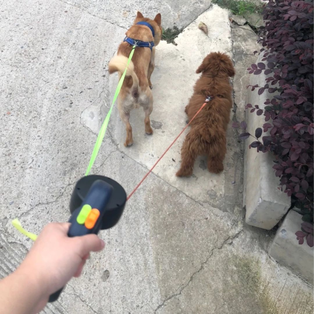 Dobbel Uttrekkbar Hundebånd med Lommelykt for To Hunder 5