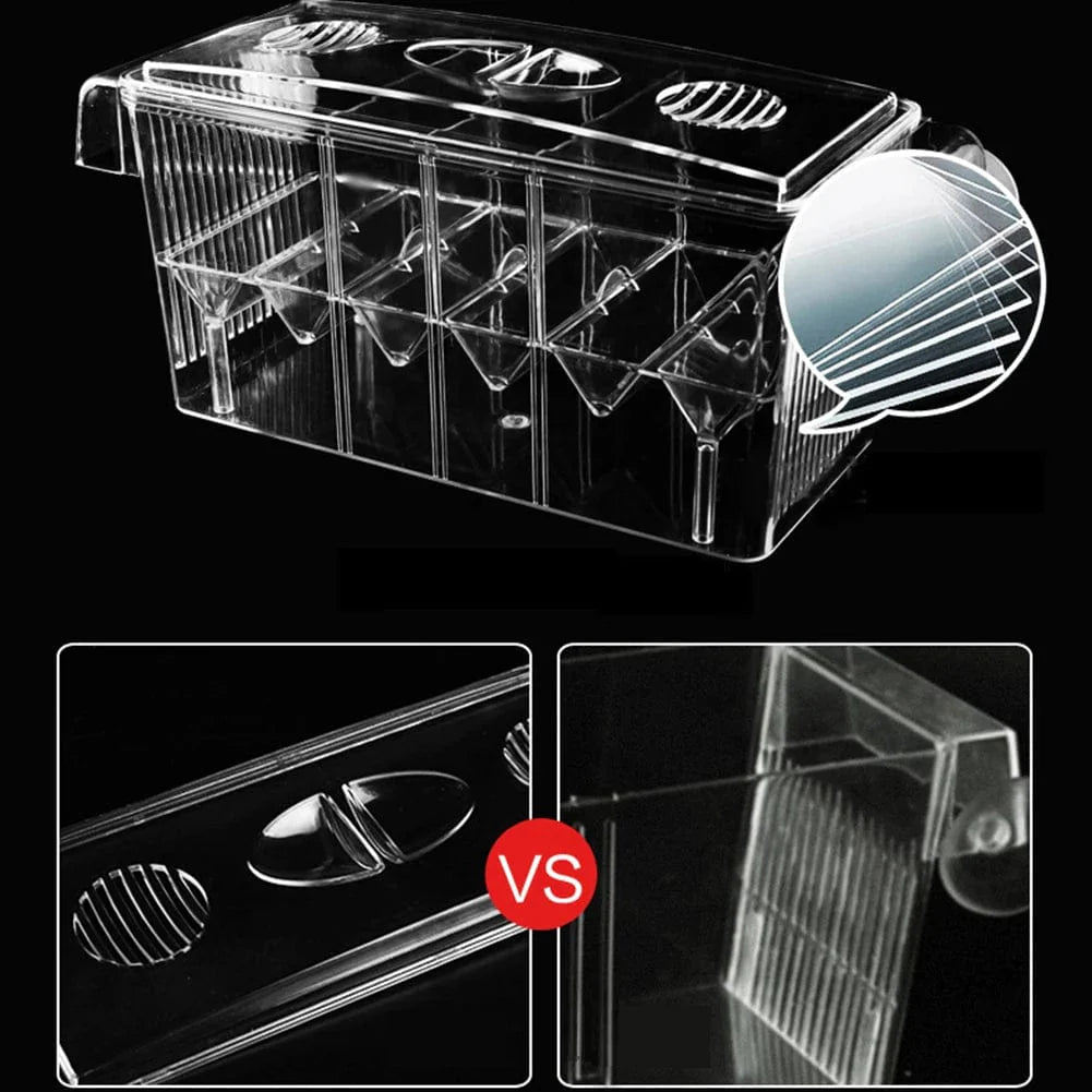 Fiskeklekkeriboks med Fire Rom og Transparent Design 4