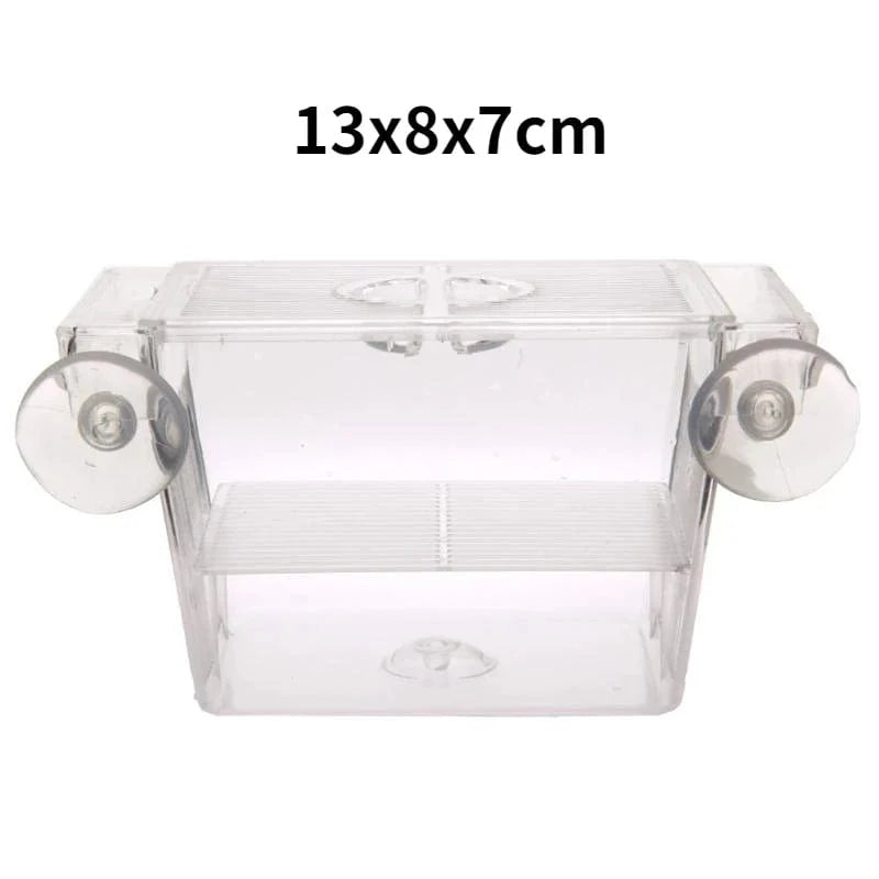 Fiskeklekkeriboks med Fire Rom og Transparent Design 6