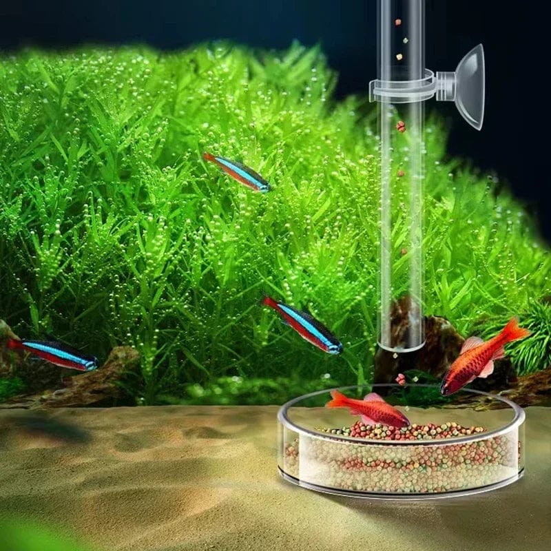 Fôringsenhet for Reker og Små Fisk i Akvarium 5