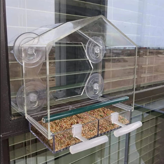 Fuglemater for Vindu med Sterke Sugekopper 4