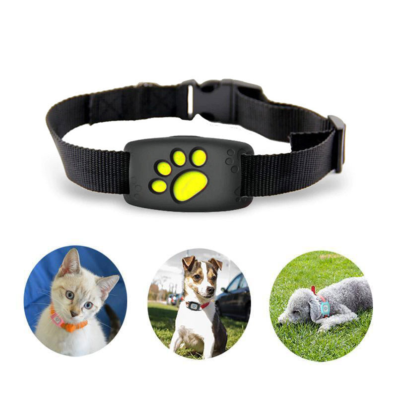 GPS Tracker for Katter og Hunder 4