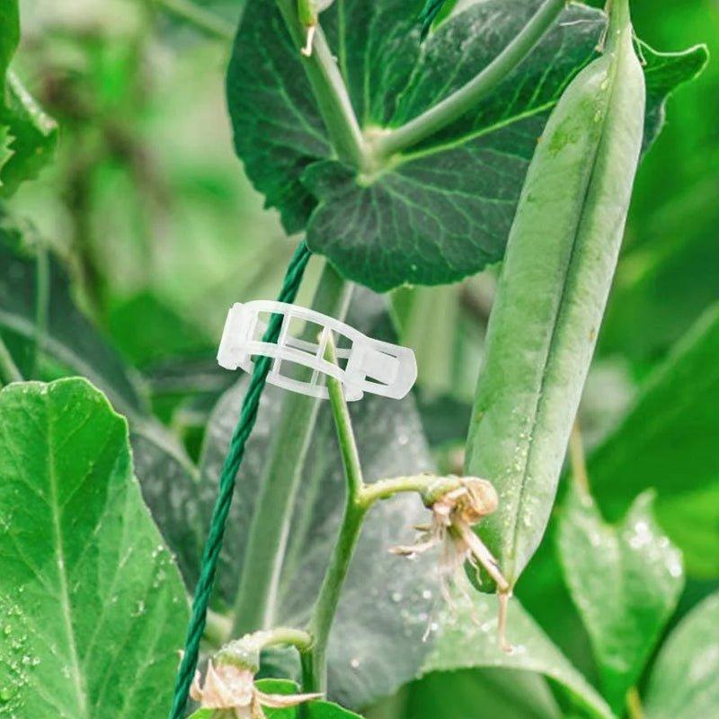 Hageverktøy for Stabilisering av Klatreplanter 6