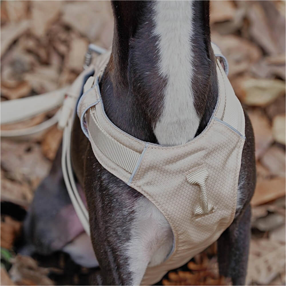 Hunde Sele Med Multifunksjonsbånd Anti-Pull Design 7