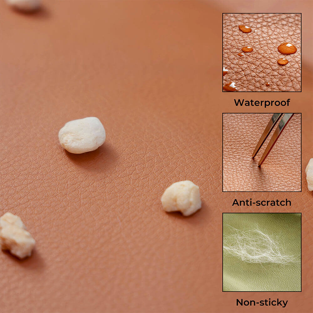 Hundebilsete for komfortable reiser 8