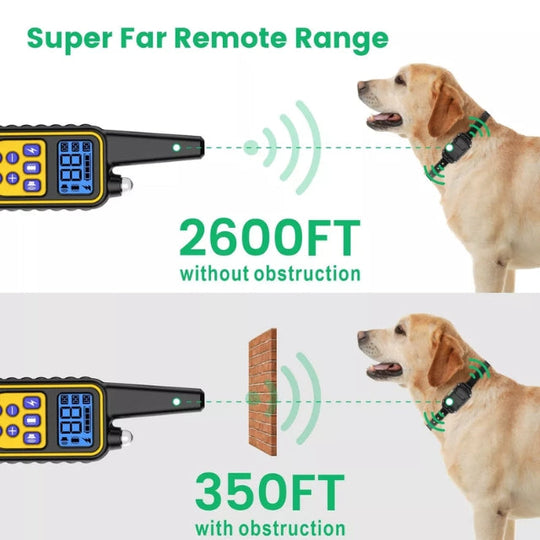 Hundehalsbånd Elektrisk Treningshalsbånd med Fjernkontroll til Hund 3