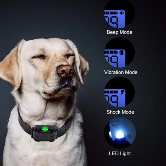 Hundehalsbånd Elektrisk Treningshalsbånd med Fjernkontroll til Hund 8