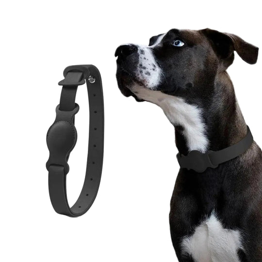 Hundehalsbånd med AirTag Design 0