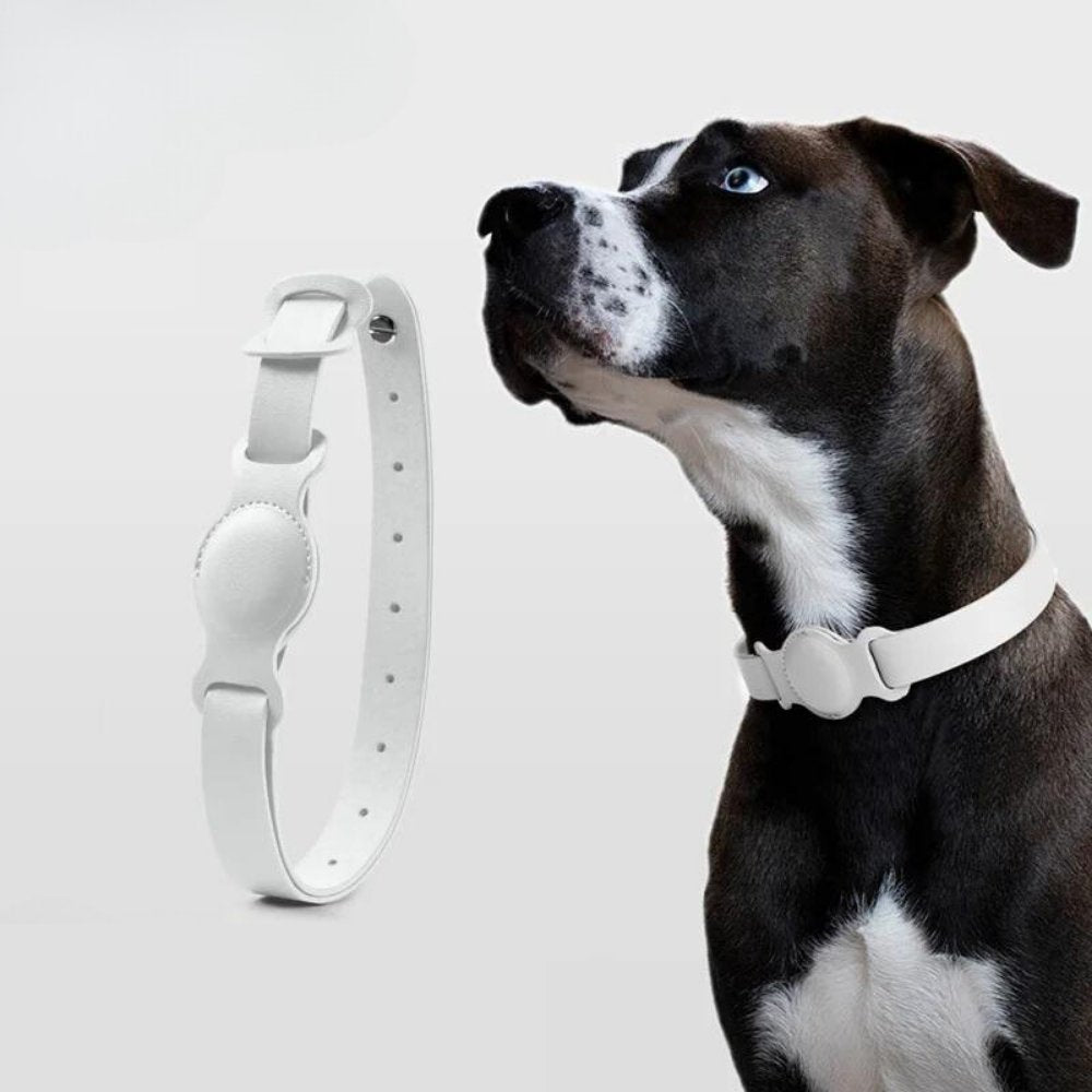 Hundehalsbånd med AirTag Design 3