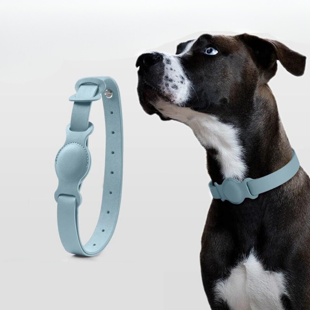 Hundehalsbånd med AirTag Design 5