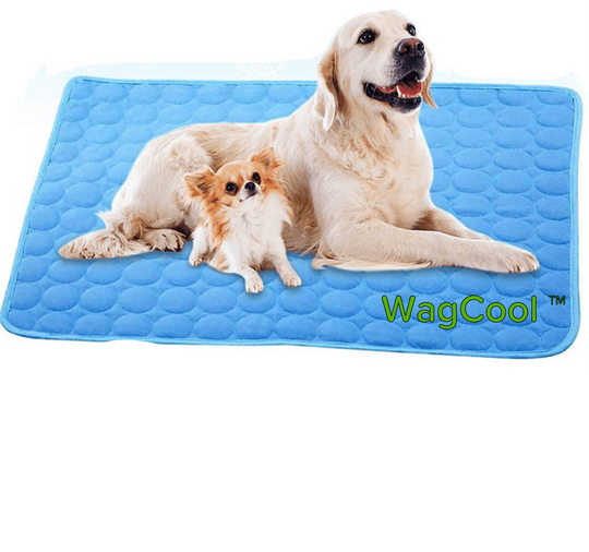 Hundekjølematte for Komfort og Avkjøling 0