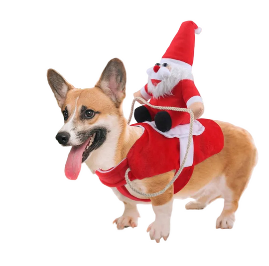 Hundekostyme Julefeiring 0