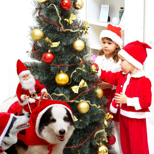 Hundekostyme Julefeiring 2