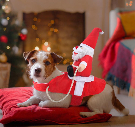Hundekostyme Julefeiring 3
