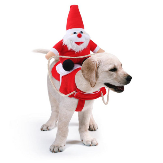 Hundekostyme Julefeiring 7