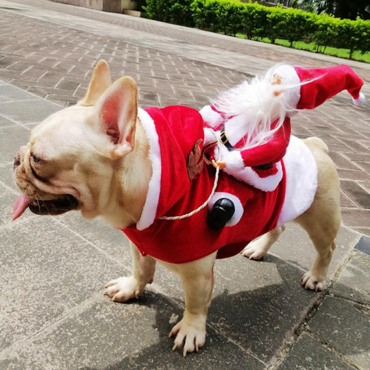 Hundekostyme Julefeiring 8