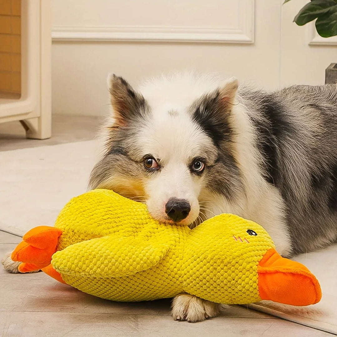 Hundelek Duck med Kvekking 4