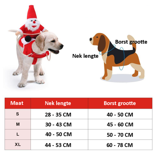 Hundens Juleantrekk 1