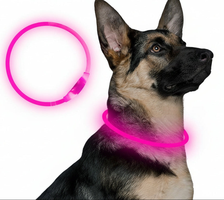 Hundens LED Halsbånd med USB Lading 0