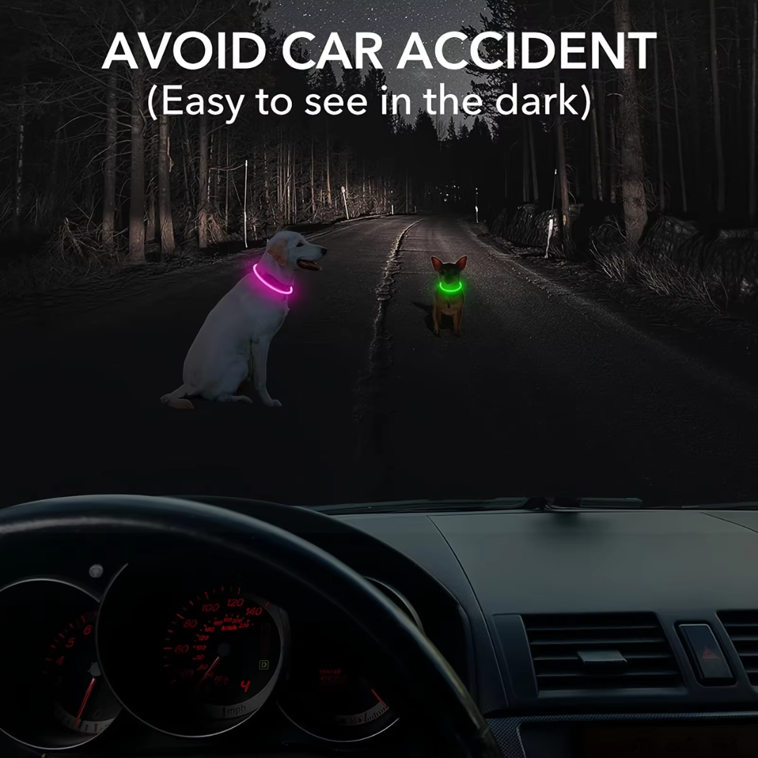 Hundens LED Halsbånd med USB Lading 5