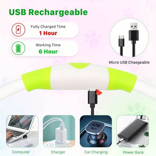 Hundens LED Halsbånd med USB Lading 8