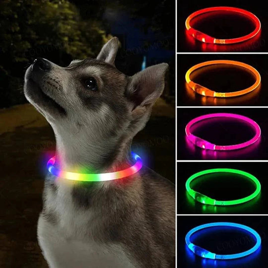 Hundens LED Krage Justerbar Med Lys 1
