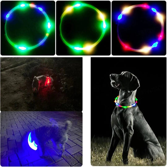 Hundens LED Krage Justerbar Med Lys 4