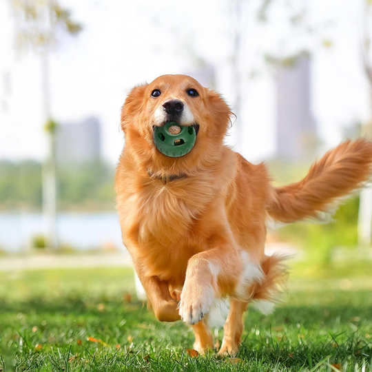 Hundens Lekeball for Snacks og Moro 3