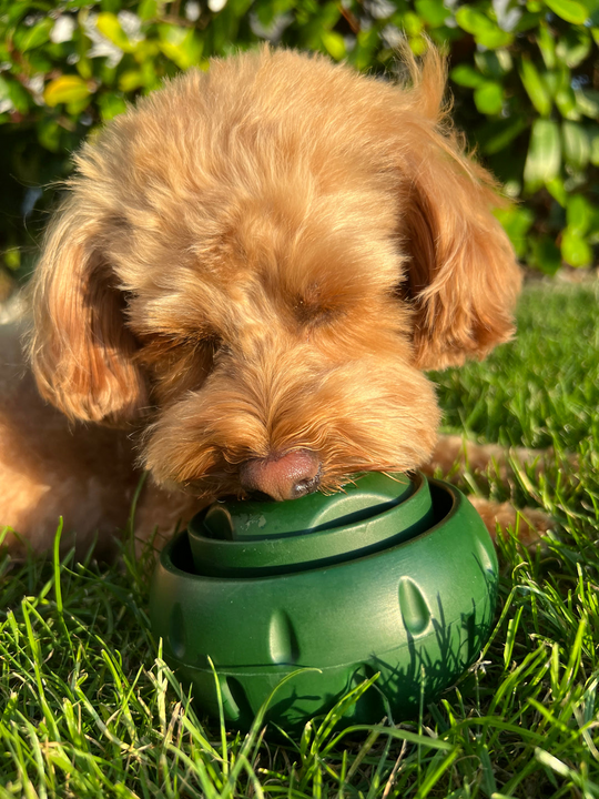 Hundens Lekeball for Snacks og Moro 5