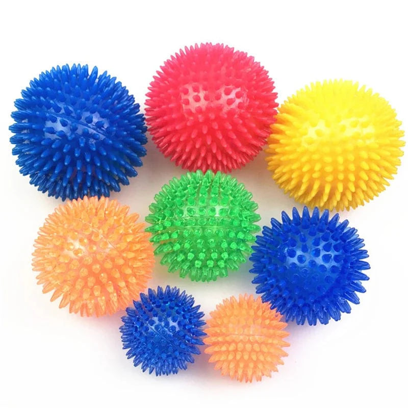 Hundens Lydleketøy Kule for Trening 5