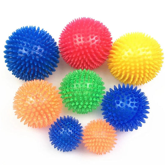 Hundens Lydleketøy Kule for Trening 5